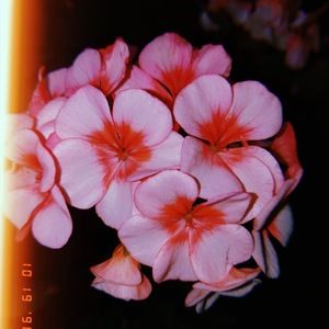 Meet your Posher, Yoongi